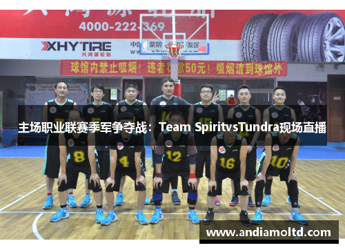主场职业联赛季军争夺战：Team SpiritvsTundra现场直播