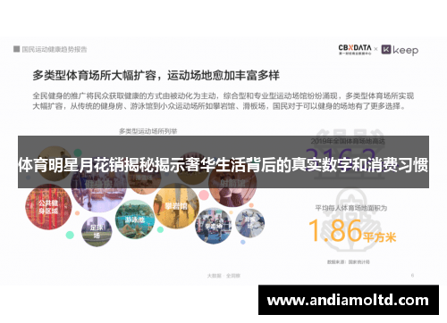 体育明星月花销揭秘揭示奢华生活背后的真实数字和消费习惯