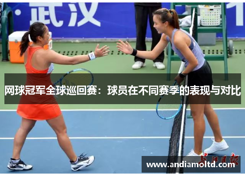 网球冠军全球巡回赛：球员在不同赛季的表现与对比