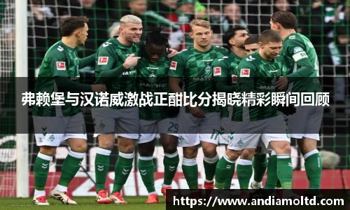 弗赖堡与汉诺威激战正酣比分揭晓精彩瞬间回顾